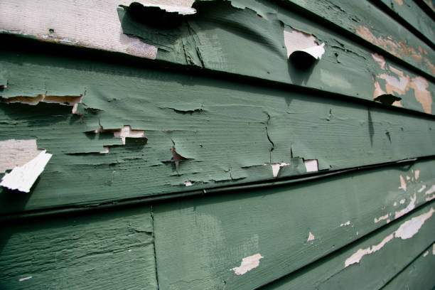 Best Demolition Debris Removal  in Green, OH